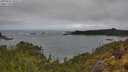 ./images/calvert/foggy-cove/20250521/foggy-cove20250521_105506M.jpg