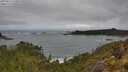 ./images/calvert/foggy-cove/20250521/foggy-cove20250521_110010M.jpg
