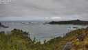 ./images/calvert/foggy-cove/20250521/foggy-cove20250521_111010M.jpg