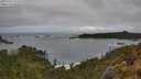 ./images/calvert/foggy-cove/20250521/foggy-cove20250521_111509M.jpg