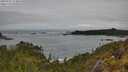 ./images/calvert/foggy-cove/20250521/foggy-cove20250521_113010M.jpg