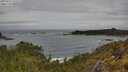 ./images/calvert/foggy-cove/20250521/foggy-cove20250521_115509M.jpg
