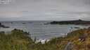 ./images/calvert/foggy-cove/20250521/foggy-cove20250521_124010M.jpg