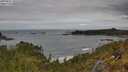 ./images/calvert/foggy-cove/20250521/foggy-cove20250521_131010M.jpg