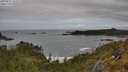 ./images/calvert/foggy-cove/20250521/foggy-cove20250521_133509M.jpg