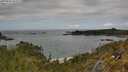 ./images/calvert/foggy-cove/20250521/foggy-cove20250521_144009M.jpg