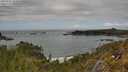 ./images/calvert/foggy-cove/20250521/foggy-cove20250521_144510M.jpg