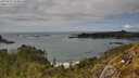 ./images/calvert/foggy-cove/20250521/foggy-cove20250521_153011M.jpg