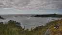 ./images/calvert/foggy-cove/20250521/foggy-cove20250521_172508M.jpg