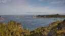 ./images/calvert/foggy-cove/20250522/foggy-cove20250522_084510M.jpg