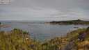 ./images/calvert/foggy-cove/20250522/foggy-cove20250522_091510M.jpg