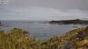 ./images/calvert/foggy-cove/20250522/foggy-cove20250522_092010M.jpg