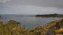 ./images/calvert/foggy-cove/20250522/foggy-cove20250522_092510M.jpg