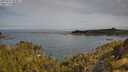 ./images/calvert/foggy-cove/20250522/foggy-cove20250522_093011M.jpg