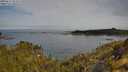 ./images/calvert/foggy-cove/20250522/foggy-cove20250522_094010M.jpg