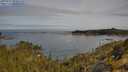 ./images/calvert/foggy-cove/20250522/foggy-cove20250522_095010M.jpg