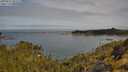 ./images/calvert/foggy-cove/20250522/foggy-cove20250522_095510M.jpg