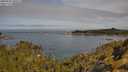 ./images/calvert/foggy-cove/20250522/foggy-cove20250522_100506M.jpg