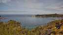 ./images/calvert/foggy-cove/20250522/foggy-cove20250522_105010M.jpg