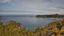 ./images/calvert/foggy-cove/20250522/foggy-cove20250522_105508M.jpg