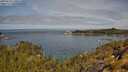 ./images/calvert/foggy-cove/20250522/foggy-cove20250522_110510M.jpg