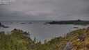 ./images/calvert/foggy-cove/20250523/foggy-cove20250523_073508M.jpg