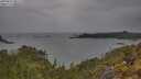./images/calvert/foggy-cove/20250523/foggy-cove20250523_081510M.jpg