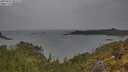 ./images/calvert/foggy-cove/20250523/foggy-cove20250523_084512M.jpg