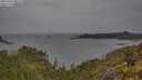 ./images/calvert/foggy-cove/20250523/foggy-cove20250523_085510M.jpg