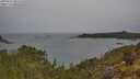 ./images/calvert/foggy-cove/20250523/foggy-cove20250523_091510M.jpg