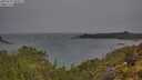 ./images/calvert/foggy-cove/20250523/foggy-cove20250523_092509M.jpg