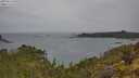 ./images/calvert/foggy-cove/20250523/foggy-cove20250523_095509M.jpg