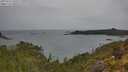 ./images/calvert/foggy-cove/20250523/foggy-cove20250523_100509M.jpg