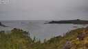 ./images/calvert/foggy-cove/20250523/foggy-cove20250523_102509M.jpg