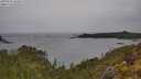./images/calvert/foggy-cove/20250523/foggy-cove20250523_103011M.jpg