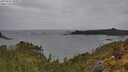 ./images/calvert/foggy-cove/20250523/foggy-cove20250523_104509M.jpg