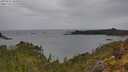 ./images/calvert/foggy-cove/20250523/foggy-cove20250523_105010M.jpg