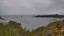 ./images/calvert/foggy-cove/20250523/foggy-cove20250523_105509M.jpg