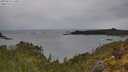 ./images/calvert/foggy-cove/20250523/foggy-cove20250523_110011M.jpg