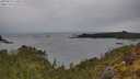 ./images/calvert/foggy-cove/20250523/foggy-cove20250523_110509M.jpg