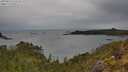 ./images/calvert/foggy-cove/20250523/foggy-cove20250523_111510M.jpg