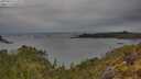 ./images/calvert/foggy-cove/20250523/foggy-cove20250523_112009M.jpg