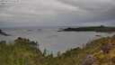 ./images/calvert/foggy-cove/20250523/foggy-cove20250523_112510M.jpg