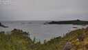 ./images/calvert/foggy-cove/20250523/foggy-cove20250523_121010M.jpg