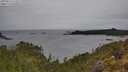 ./images/calvert/foggy-cove/20250523/foggy-cove20250523_121511M.jpg