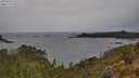 ./images/calvert/foggy-cove/20250523/foggy-cove20250523_123509M.jpg