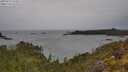 ./images/calvert/foggy-cove/20250523/foggy-cove20250523_124010M.jpg