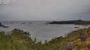 ./images/calvert/foggy-cove/20250523/foggy-cove20250523_130011M.jpg