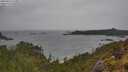 ./images/calvert/foggy-cove/20250523/foggy-cove20250523_150011M.jpg