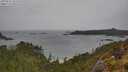 ./images/calvert/foggy-cove/20250523/foggy-cove20250523_151510M.jpg